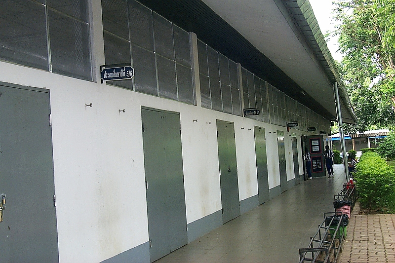 003.JPG