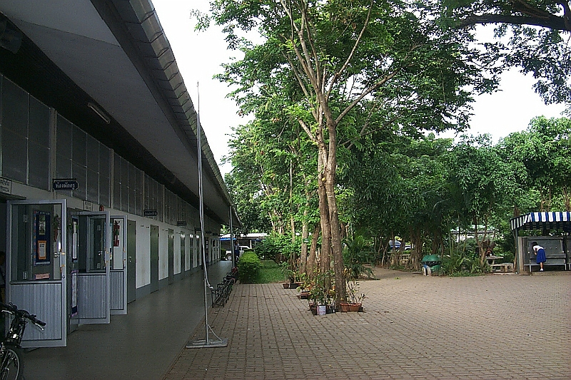 005.JPG