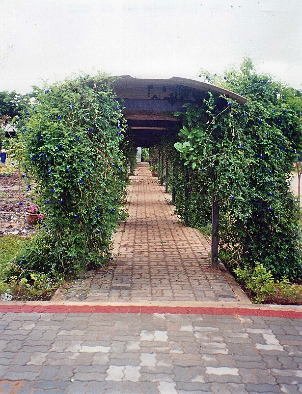 006.jpg