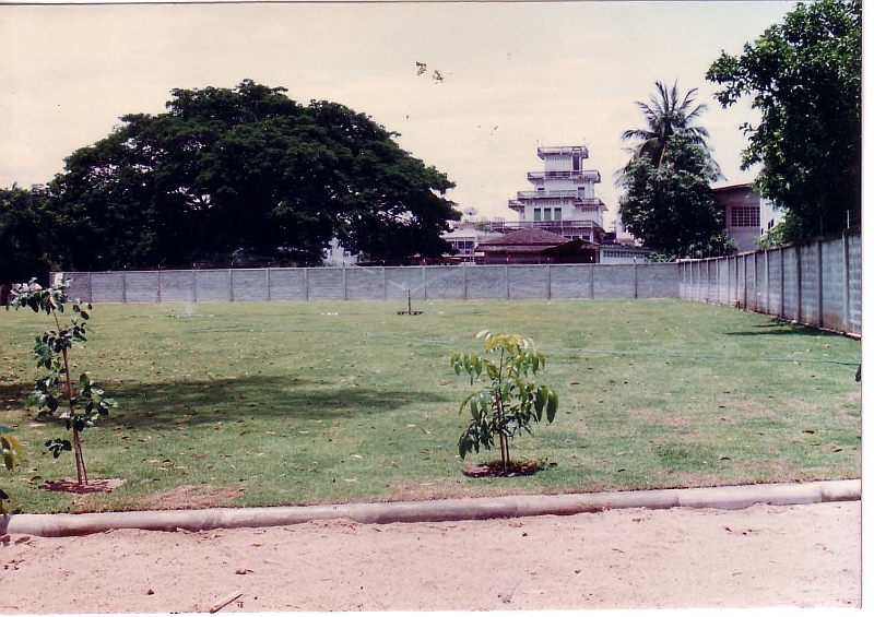 010.jpg